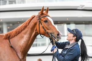 Riddle Me That, Winter Champ Finals, Flemington July 2023 Riddle Me That, Winter Champ Finals, Flemington July 2023